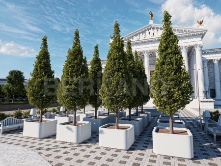 Вазон для деревьев и кустарников Graphite от интернет-магазина IDODOM.RU