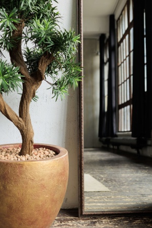 Зеркало Veltliner от интернет-магазина IDODOM.RU