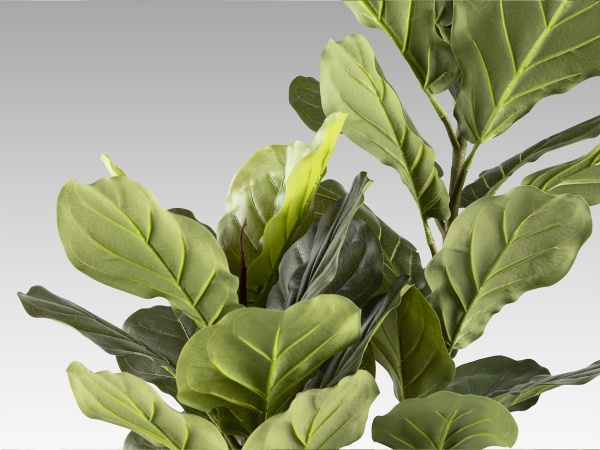 Higuera violin Искусственное растение H200 от интернет-магазина IDODOM.RU