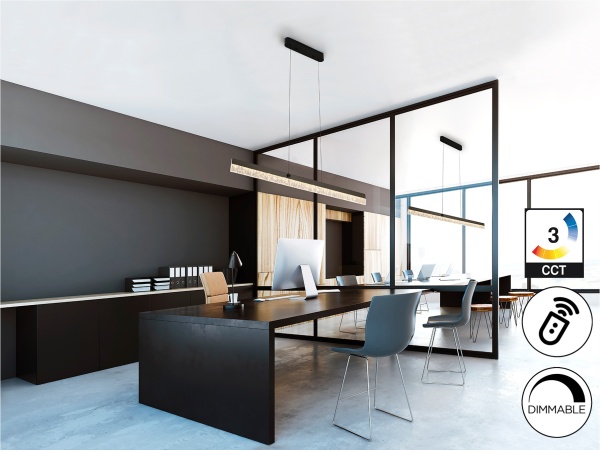 IXIAS Подвесной светильник темно-серый, прозрачный от интернет-магазина IDODOM.RU