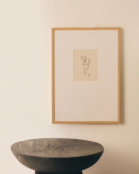 Картина Lirena с ботанической иллюстрацией 50 x 70 см от интернет-магазина IDODOM.RU