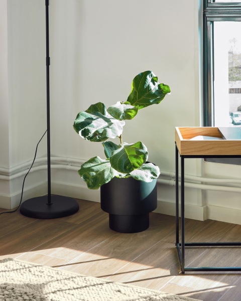 Кашпо для цветов Mash из черного металла Ø 28 см от интернет-магазина IDODOM.RU