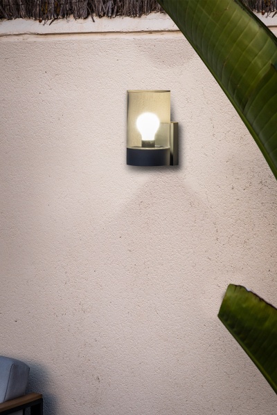 Уличный настенный светильник Kila серый/прозрачный от интернет-магазина IDODOM.RU