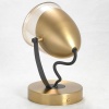 Спот Lussole  Antelope LSP-8422 от интернет-магазина IDODOM.RU