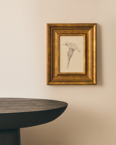 Картина Yalira с ботанической иллюстрацией 32,8 x 70 см от интернет-магазина IDODOM.RU