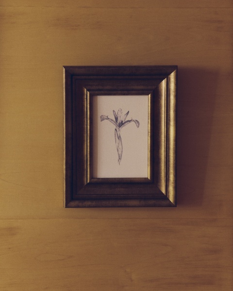 Картина Yalira с ботанической иллюстрацией 70 x 32,8 см от интернет-магазина IDODOM.RU