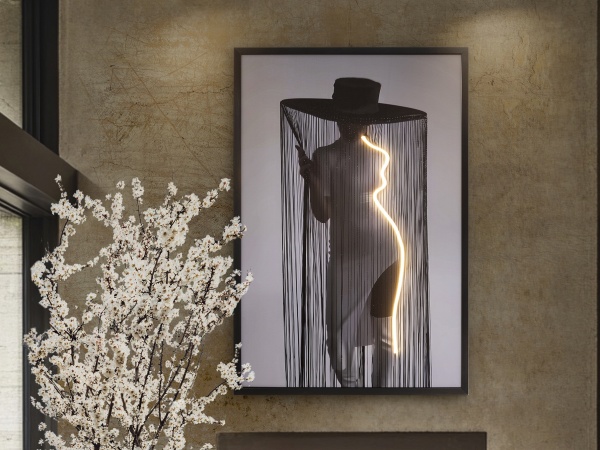 Diva Светодиодная картина LED 80X120 от интернет-магазина IDODOM.RU