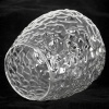 Люстра потолочная Lussole SY0278 от интернет-магазина IDODOM.RU