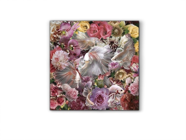 Фотография Peces Luchador Siam 120x120 см от интернет-магазина IDODOM.RU