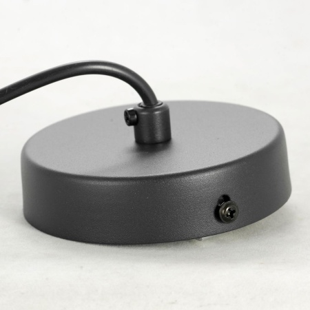 Подвесной светильник Lussole LSP-8521 от интернет-магазина IDODOM.RU