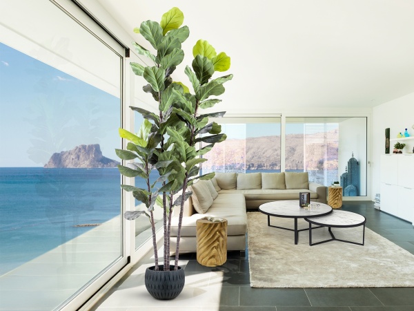 Higuera violin Искусственное растение H250 от интернет-магазина IDODOM.RU