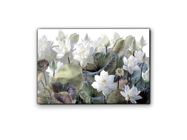 Фотография Nenufares 150x100 см от интернет-магазина IDODOM.RU