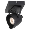 Спот Lussole SY5059