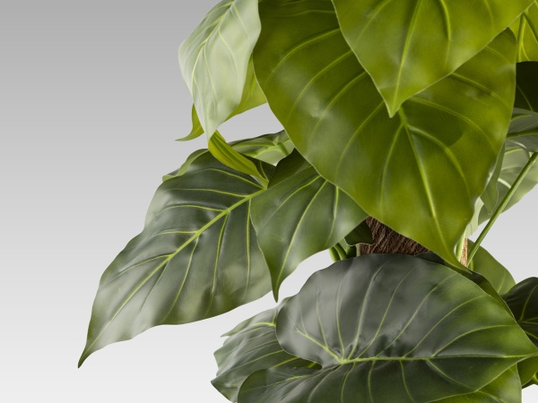 Taro Искусственное растение H150 от интернет-магазина IDODOM.RU