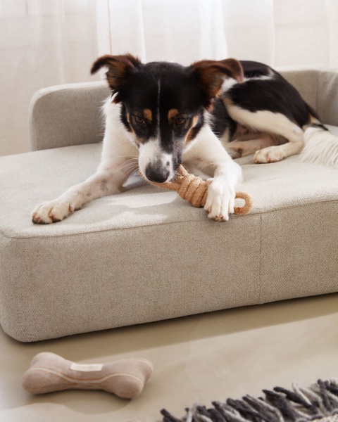 Bowie cover for large bed for pets in beige от интернет-магазина IDODOM.RU