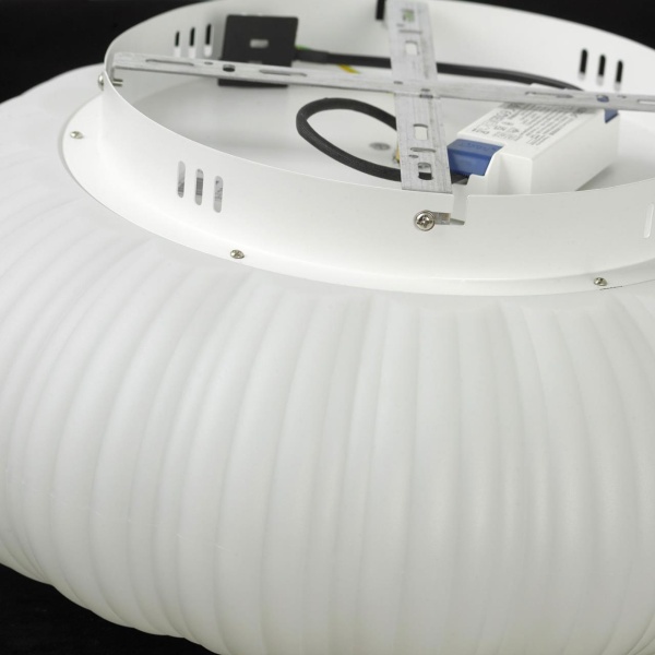 Светильник потолочный Lussole LSP-0921 от интернет-магазина IDODOM.RU