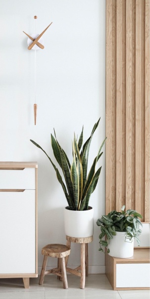 Настенные часы Punta белый-дуб от интернет-магазина IDODOM.RU