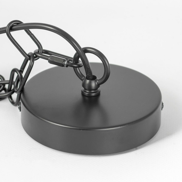 Люстра подвесная Lussole LSP-8817 от интернет-магазина IDODOM.RU