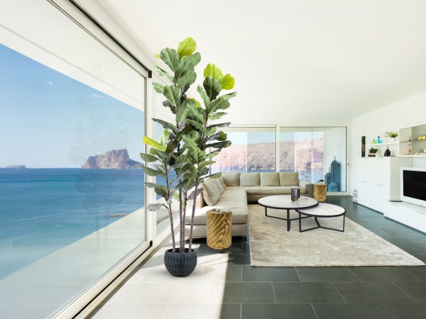 Higuera violin Искусственное растение H250 от интернет-магазина IDODOM.RU