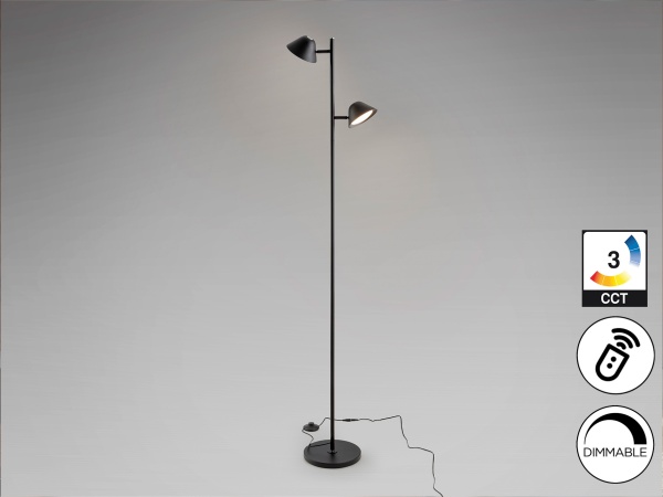 Taros Торшер 2L черный от интернет-магазина IDODOM.RU