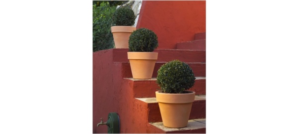 Кашпо Maceta от интернет-магазина IDODOM.RU