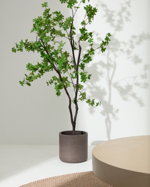 Enkianthus Искусственное дерево с черным горшком 214 см от интернет-магазина IDODOM.RU