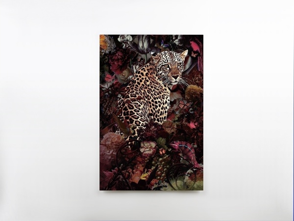 Печатная фотография на стекле Leopardo 80x120 от интернет-магазина IDODOM.RU