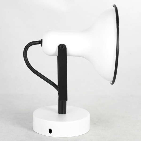 Спотовый светильник Lussole LSP-8801 от интернет-магазина IDODOM.RU