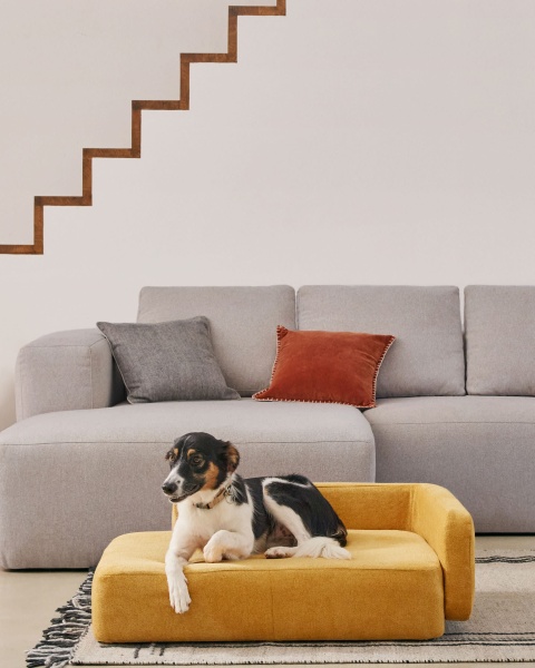 Bowie cover for large bed for pets in mustard от интернет-магазина IDODOM.RU