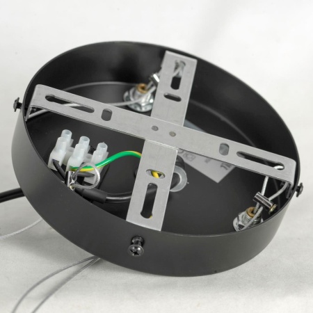 Люстра подвесная Lussole LSP-8750 от интернет-магазина IDODOM.RU