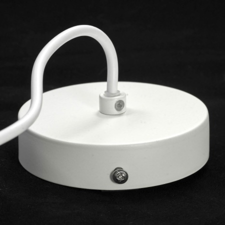 Подвесной светильник Lussole GRLSP-8135 от интернет-магазина IDODOM.RU