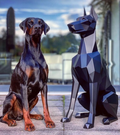 Доберман.   Финиш: Окрашивание по каталогу цветов Rall. Цвет: Чёрный матовый. от интернет-магазина IDODOM.RU