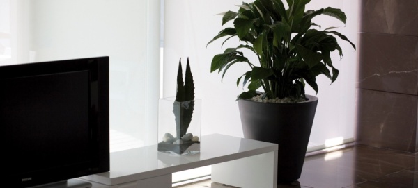 Кашпо Cono от интернет-магазина IDODOM.RU