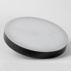 Торшер Lussole LSP-0901-SE от интернет-магазина IDODOM.RU