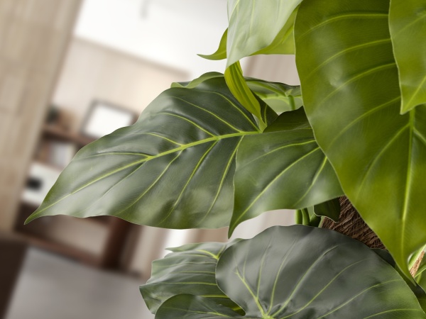 Taro Искусственное растение H150 от интернет-магазина IDODOM.RU