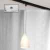 Трековый светильник Lussole LSN-0106-01-TAW