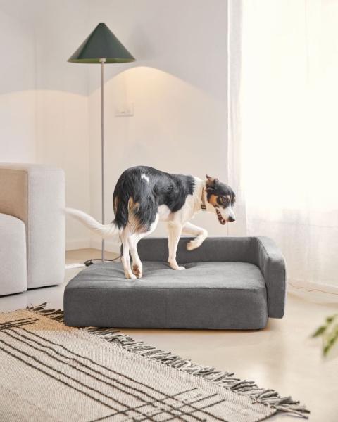 Bowie cover for large bed for pets in dark grey от интернет-магазина IDODOM.RU