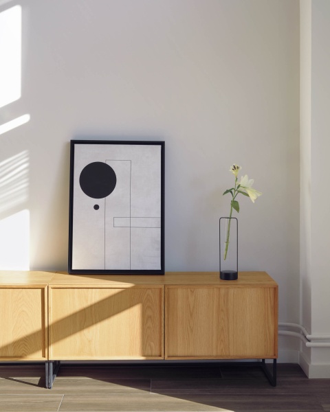 Тумба под ТВ Taiana с дубовым шпоном и стальным каркасом 2 ящика 112 x 51 см от интернет-магазина IDODOM.RU