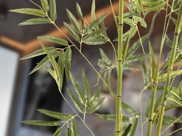 Bambu Искусственное растение H170 от интернет-магазина IDODOM.RU