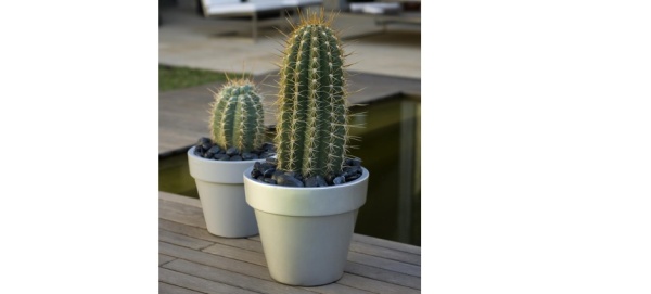 Кашпо Maceta от интернет-магазина IDODOM.RU