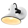Спот Lussole SY1088