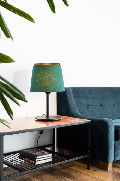 Настольная лампа Savoy черный/зеленый от интернет-магазина IDODOM.RU