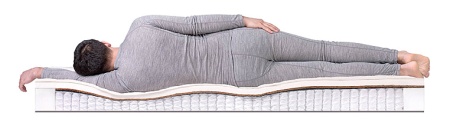 SleepDream Soft S1000 от интернет-магазина IDODOM.RU