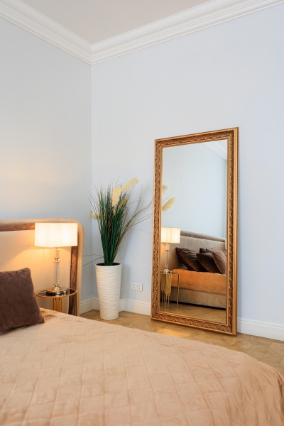 Зеркало Opera от интернет-магазина IDODOM.RU