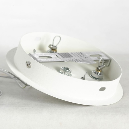 Люстра подвесная Lussole LSP-8716 от интернет-магазина IDODOM.RU