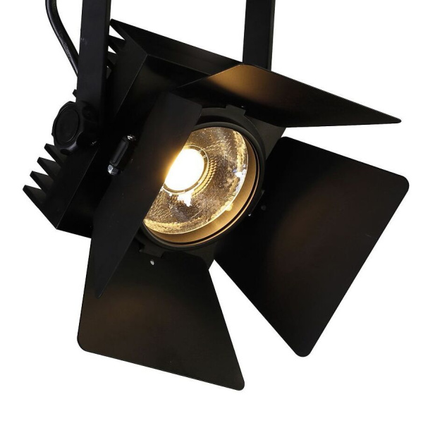 Потолочный светильник Projector от интернет-магазина IDODOM.RU