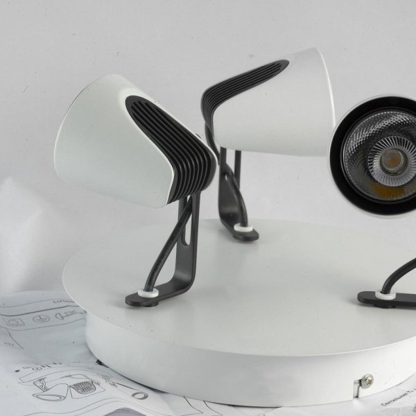 Спот Lussole  LSN-4101-03 от интернет-магазина IDODOM.RU