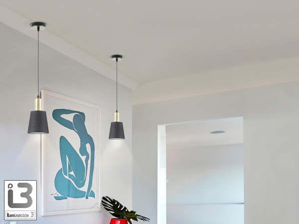 Gisela Подвесной светильник 1L черный матовый от интернет-магазина IDODOM.RU