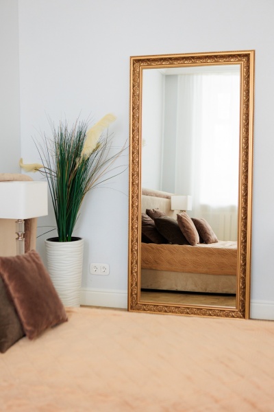 Зеркало Opera от интернет-магазина IDODOM.RU