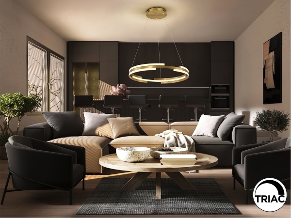 Подвесной светильник Ciclos золотой D60 от интернет-магазина IDODOM.RU